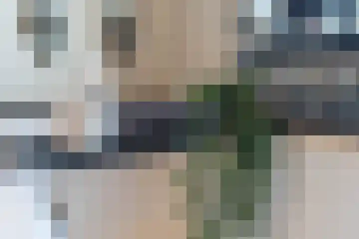 Lavendelheide 11 Venray thumbnail 62
