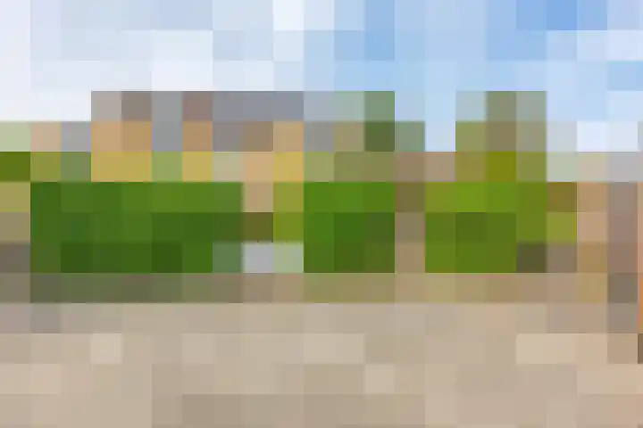 Lavendelheide 13 Emmen