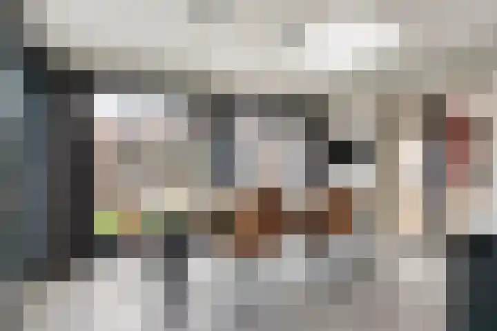 Lavendelheide 25 Venray thumbnail 18