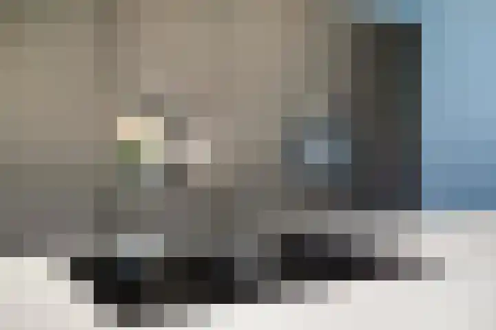 Lavendelheide 25 Venray thumbnail 19