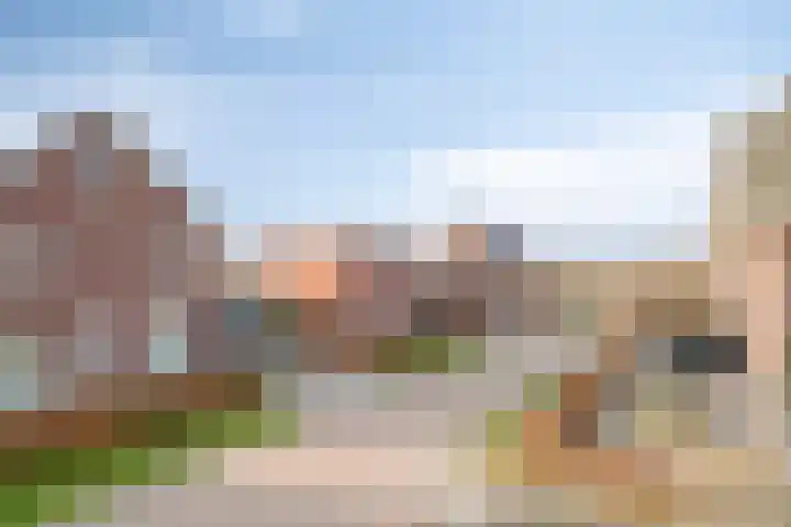 Lavendelheide 25 Venray thumbnail 29