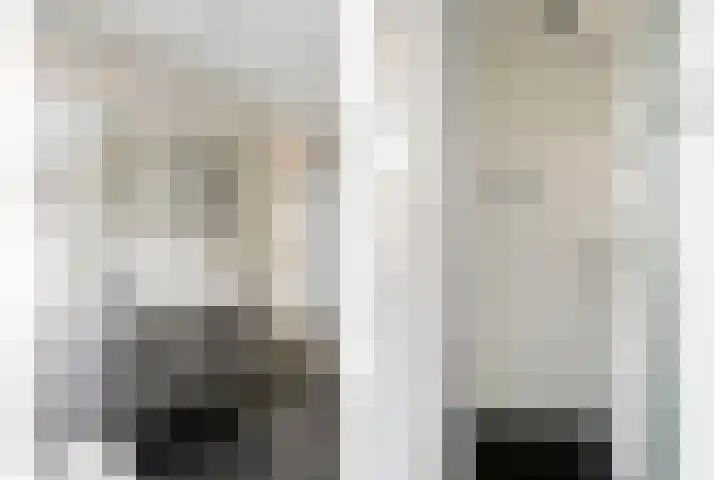 Lavendelheide 25 Venray thumbnail 36