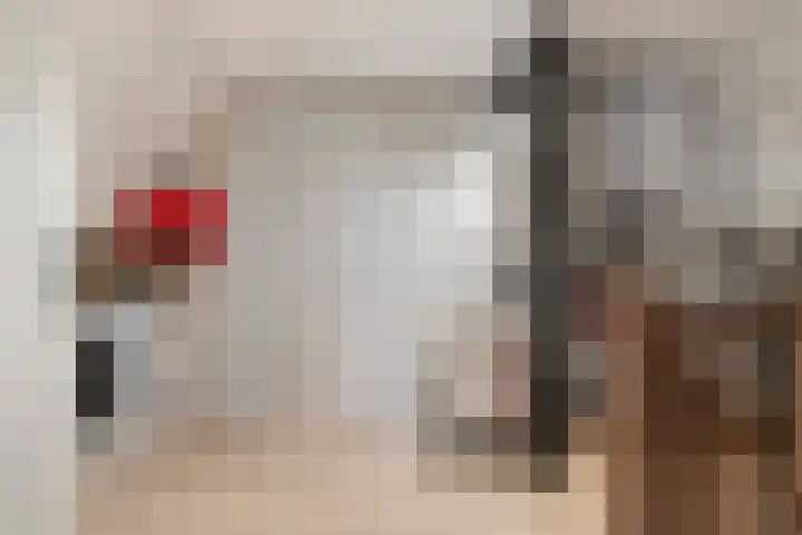 Lavendelheide 25 Venray thumbnail 38