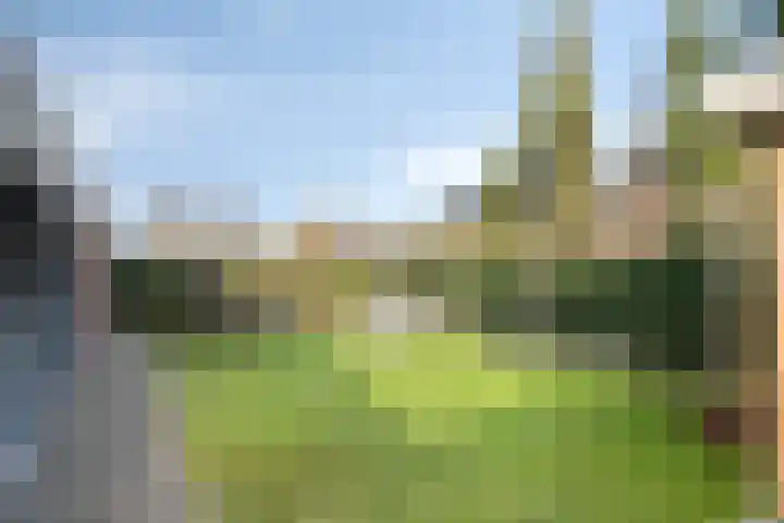 Lavendelheide 25 Venray thumbnail 45