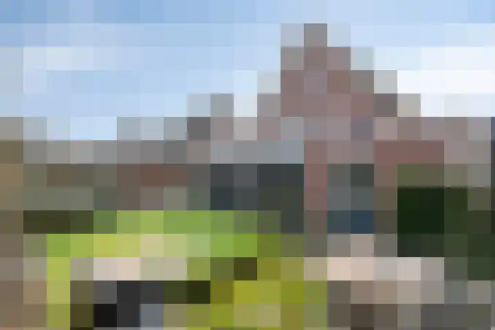 Lavendelheide 25 Venray thumbnail 46