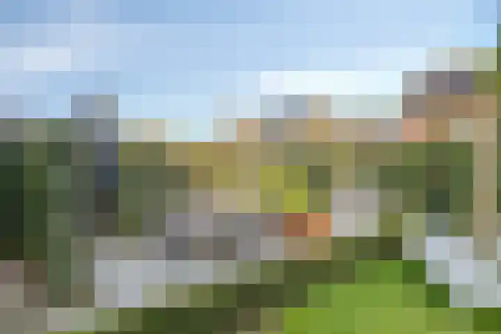 Lavendelheide 25 Venray thumbnail 47