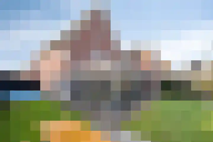 Lavendelheide 25 Venray thumbnail 48