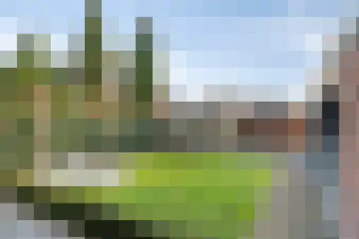 Lavendelheide 25 Venray thumbnail 5
