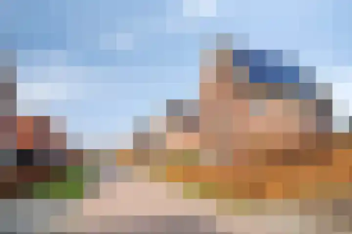 Lavendelheide 25 Venray thumbnail 55
