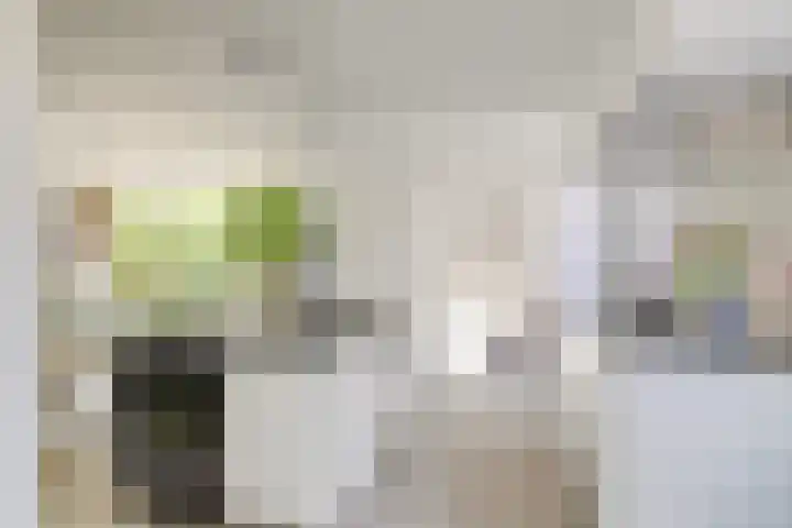 Lavendelhof 12 Barendrecht thumbnail 22