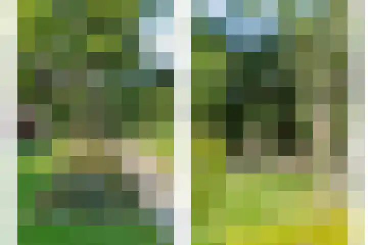Lavendelhof 12 Barendrecht thumbnail 65