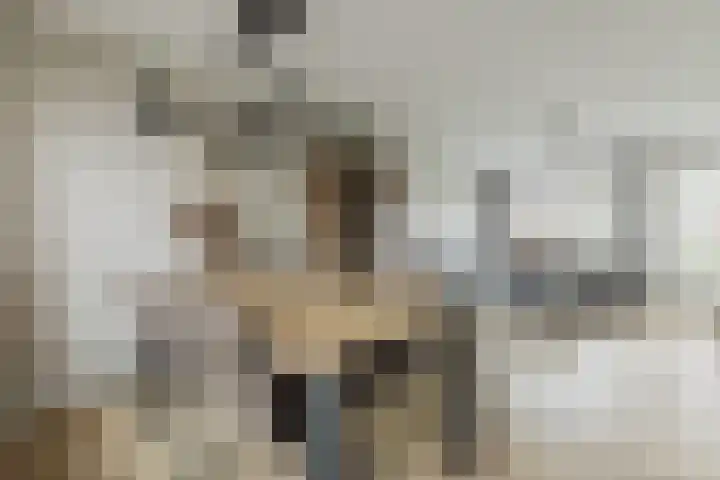 Lavendelhof 88 Zundert thumbnail 10