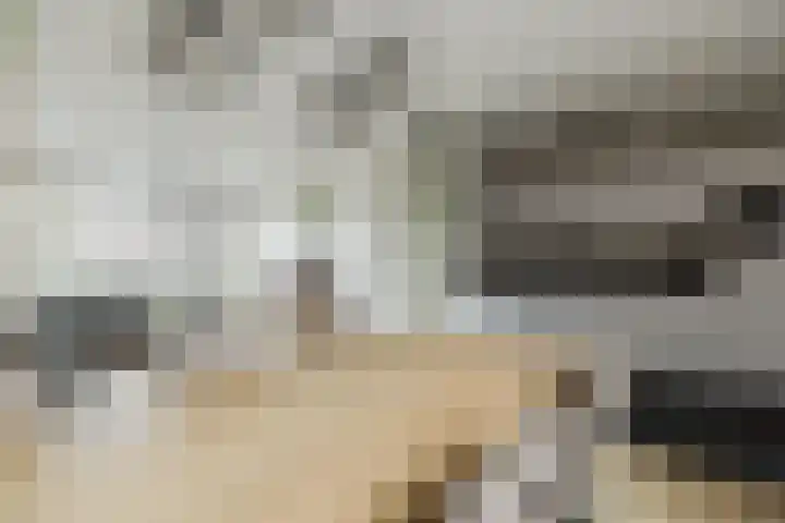 Lavendelhof 88 Zundert thumbnail 11