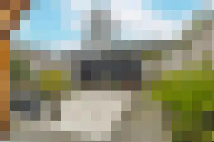 Lavendelhof 88 Zundert thumbnail 24