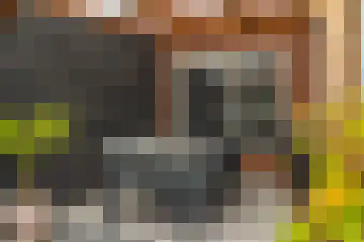 Lavendelhof 88 Zundert thumbnail 25