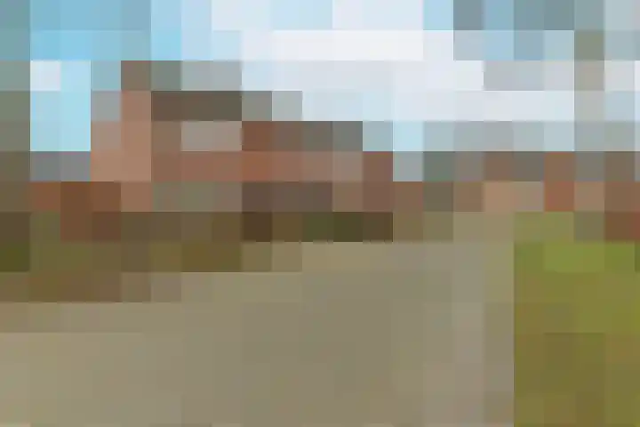 Lavendelhof 88 Zundert thumbnail 28