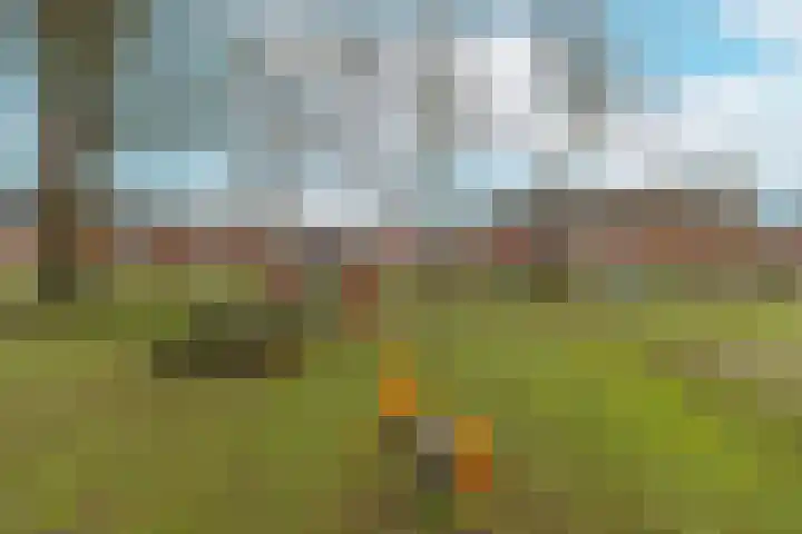 Lavendelhof 88 Zundert thumbnail 29