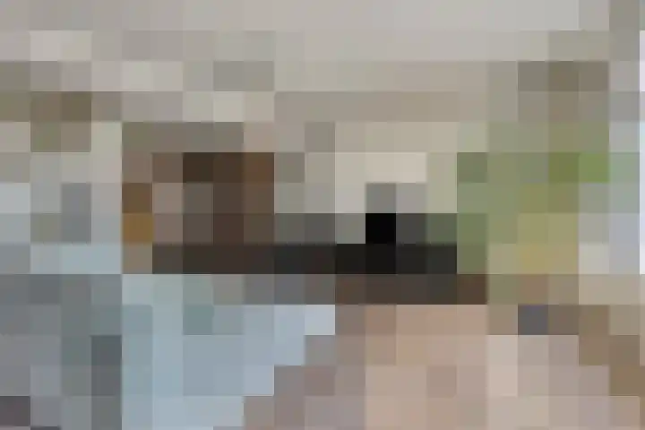 Lavendellaar 37 Veghel thumbnail 11