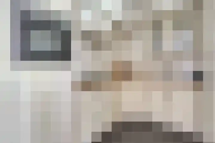 Lavendellaar 37 Veghel thumbnail 12