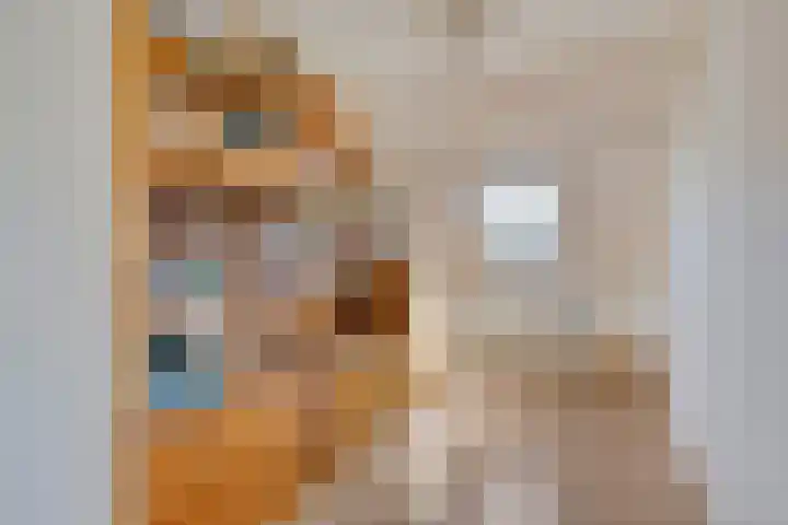 Lavendellaar 37 Veghel thumbnail 17