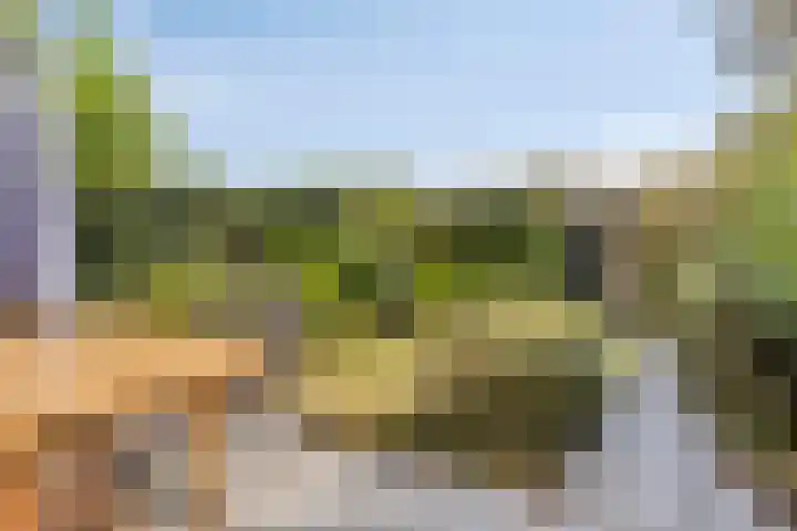 Lavendellaar 37 Veghel thumbnail 26