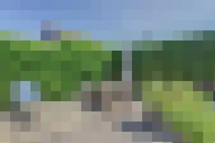 Lavendelstraat 11 's-Gravenpolder thumbnail 31