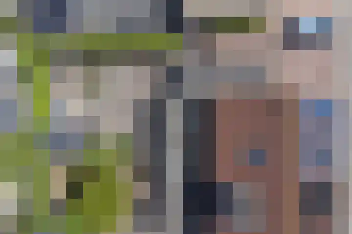 Lavendelstraat 11 's-Gravenpolder thumbnail 35
