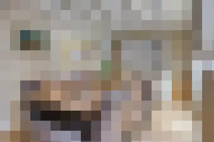 Lavendelstraat 53 Uden thumbnail 8