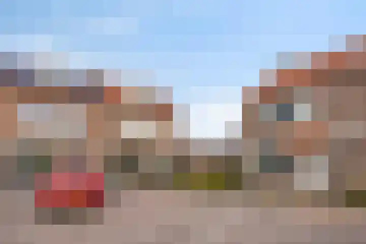 Lavendelstraat 59 Uden thumbnail 33