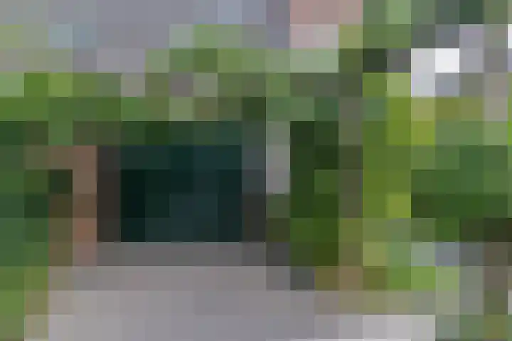 Lavendeltuin 30 Zoetermeer foto 2