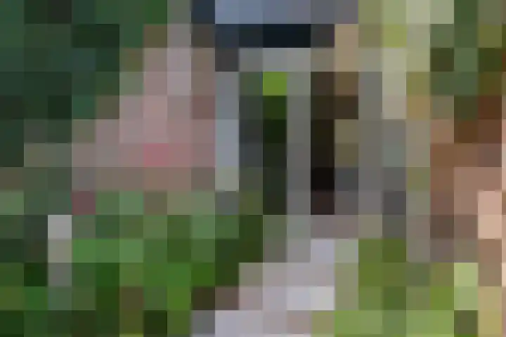 Lavendeltuin 30 Zoetermeer thumbnail 21