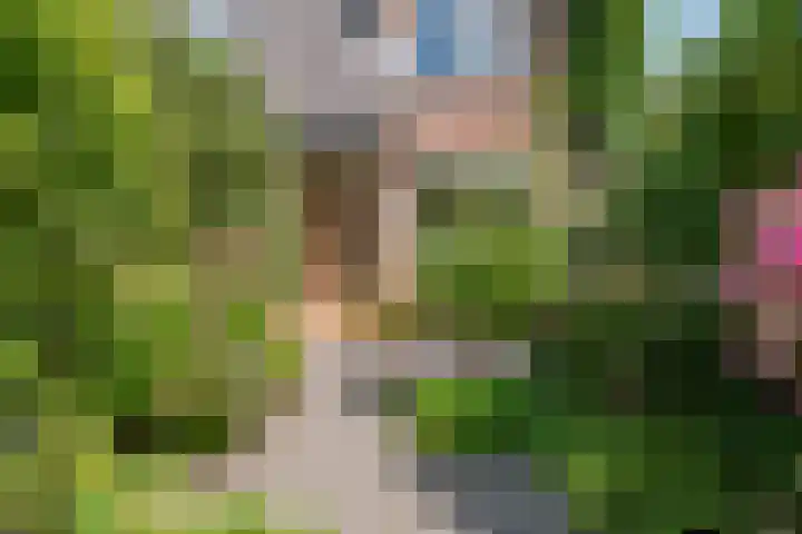 Lavendeltuin 30 Zoetermeer thumbnail 4