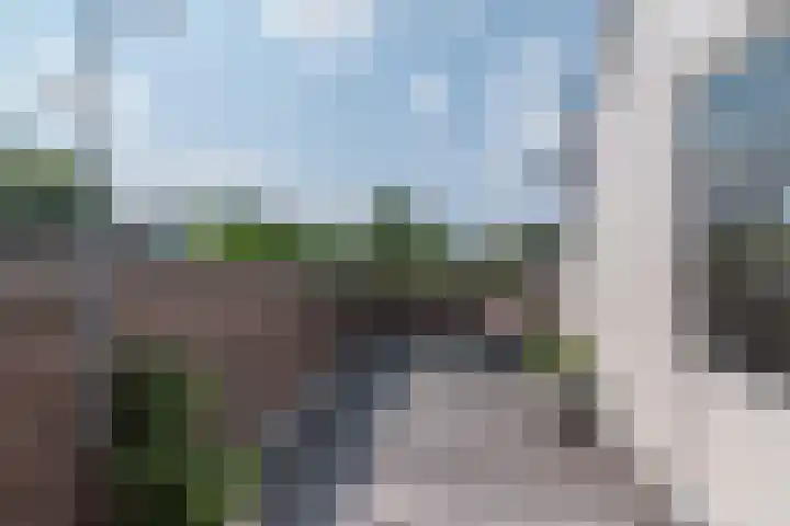 Lavendeltuin 30 Zoetermeer thumbnail 55
