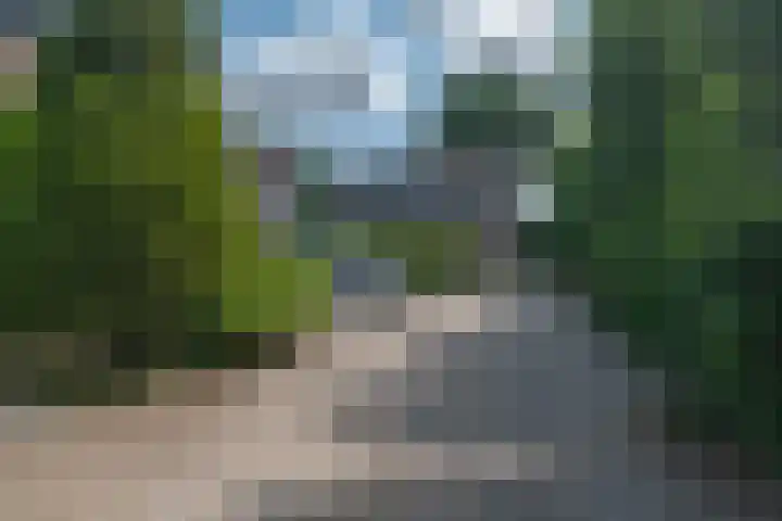 Lavendeltuin 30 Zoetermeer thumbnail 56