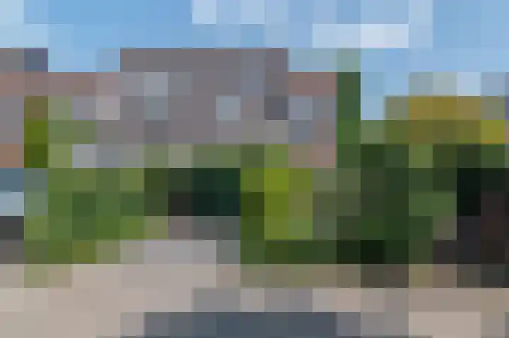 Lavendeltuin 30 Zoetermeer thumbnail 57