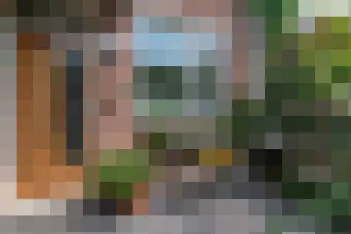 Lavendeltuin 30 Zoetermeer thumbnail 6