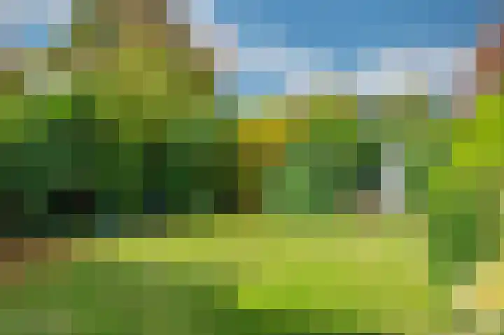 Lavendelweg 16 Venlo thumbnail 64