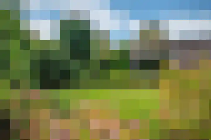 Lavendelweg 16 Venlo thumbnail 78