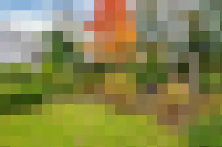 Lavendelweg 16 Venlo thumbnail 83
