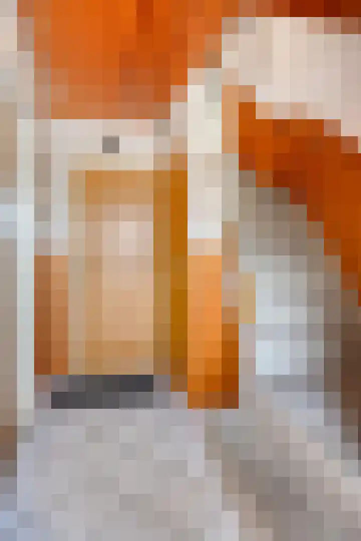 Le Bourgetstraat 2 Tilburg thumbnail 17
