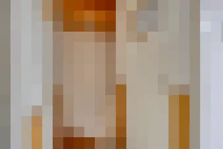 Le Bourgetstraat 2 Tilburg thumbnail 20