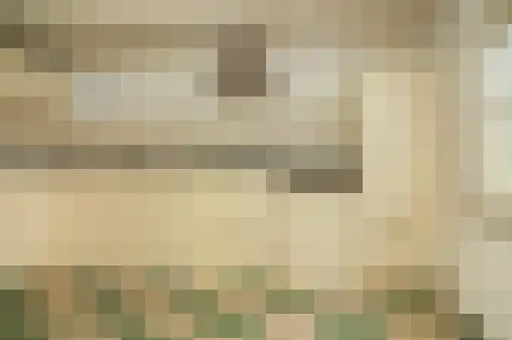 Le Chevalierlaan 3 A Epe thumbnail 17