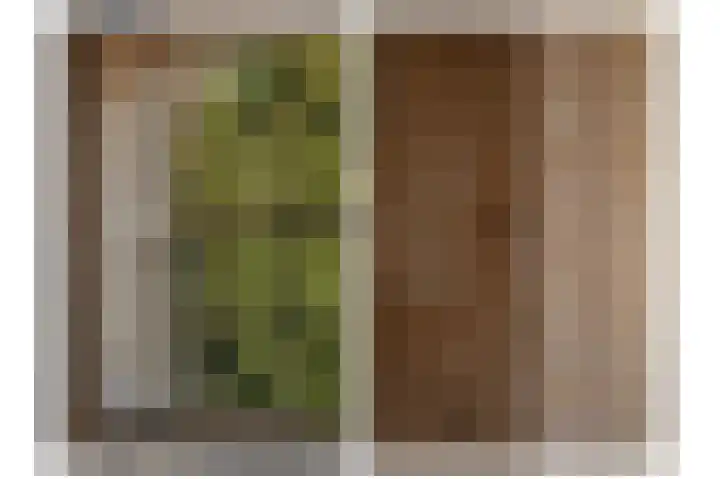 Le Chevalierlaan 3 A Epe thumbnail 28
