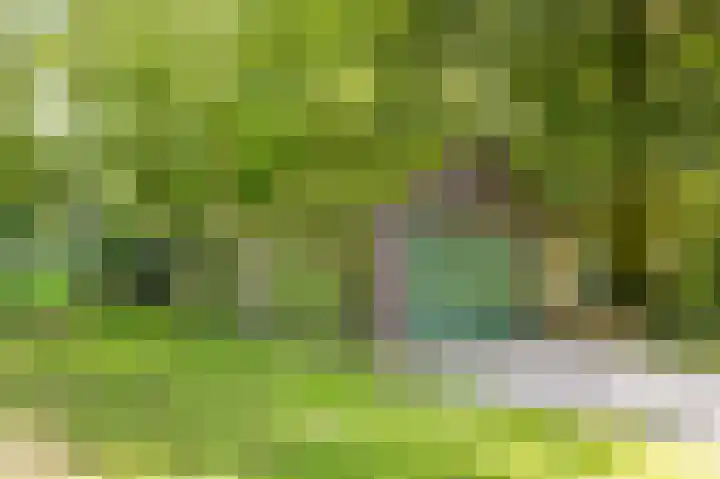 Le Chevalierlaan 3 A Epe thumbnail 33