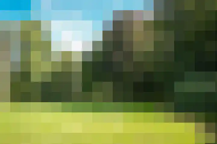 Le Chevalierlaan 3 A Epe thumbnail 34