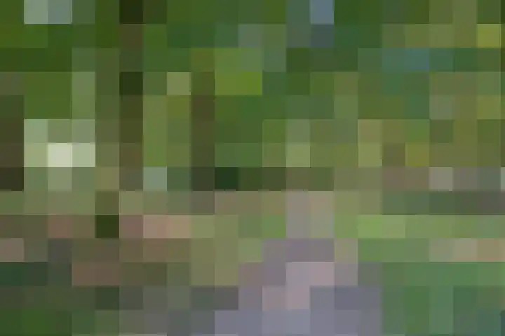 Le Chevalierlaan 3 A Epe thumbnail 35
