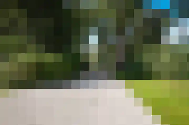Le Chevalierlaan 3 A Epe thumbnail 41