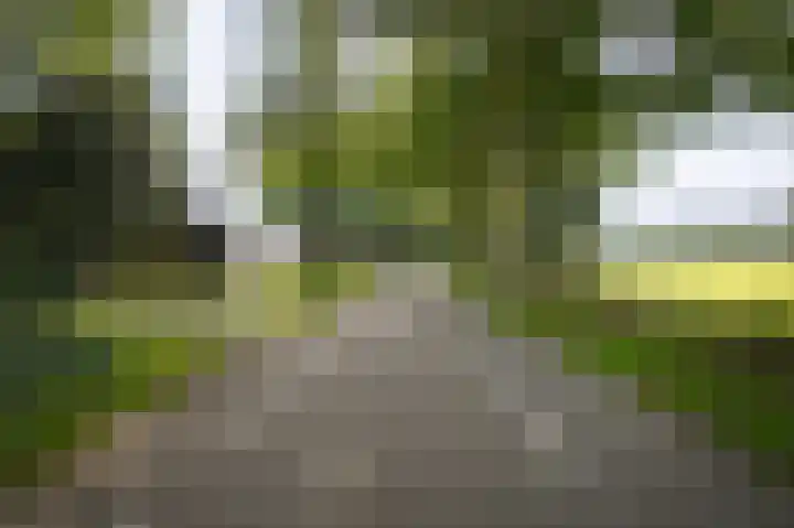 Le Chevalierlaan 3 A Epe thumbnail 43