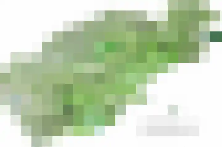 Le Chevalierlaan 3 A Epe thumbnail 45