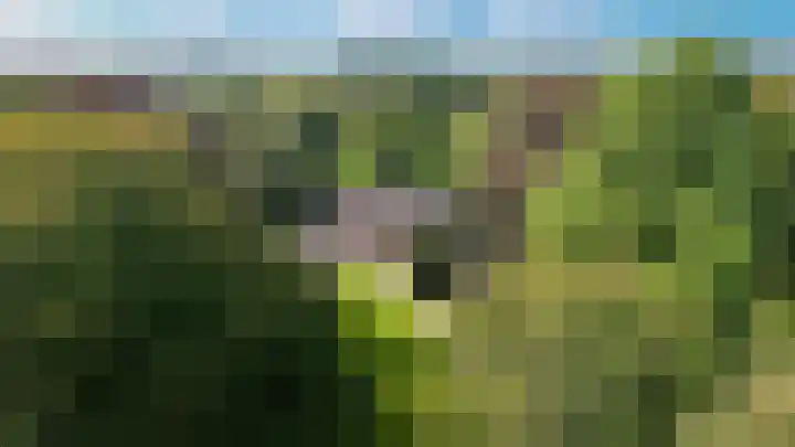 Le Chevalierlaan 3 A Epe thumbnail 47